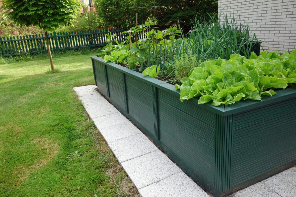 How to Design a Raised Bed