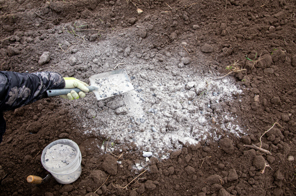 fixing soil wood ash