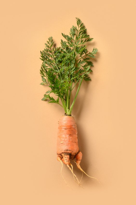 Carrots smaller than you expected? How to prep soil for your root crops to grow