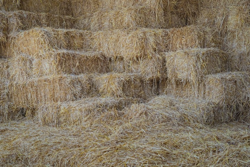 Hay: A Winter Staple