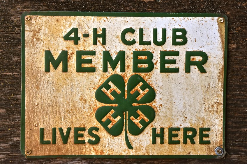 4-H: What you Need to Know
